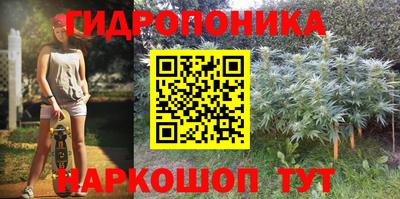 твердый Коммунар