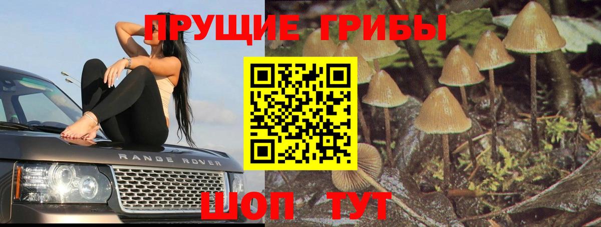 Коммунар  Псилоцибиновые грибы GOLDEN TEACHER  Вход с VPN 