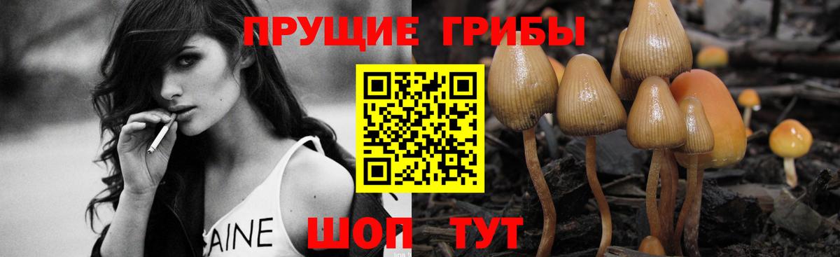 Псилоцибиновые грибы MAGIC MUSHROOMS Коммунар